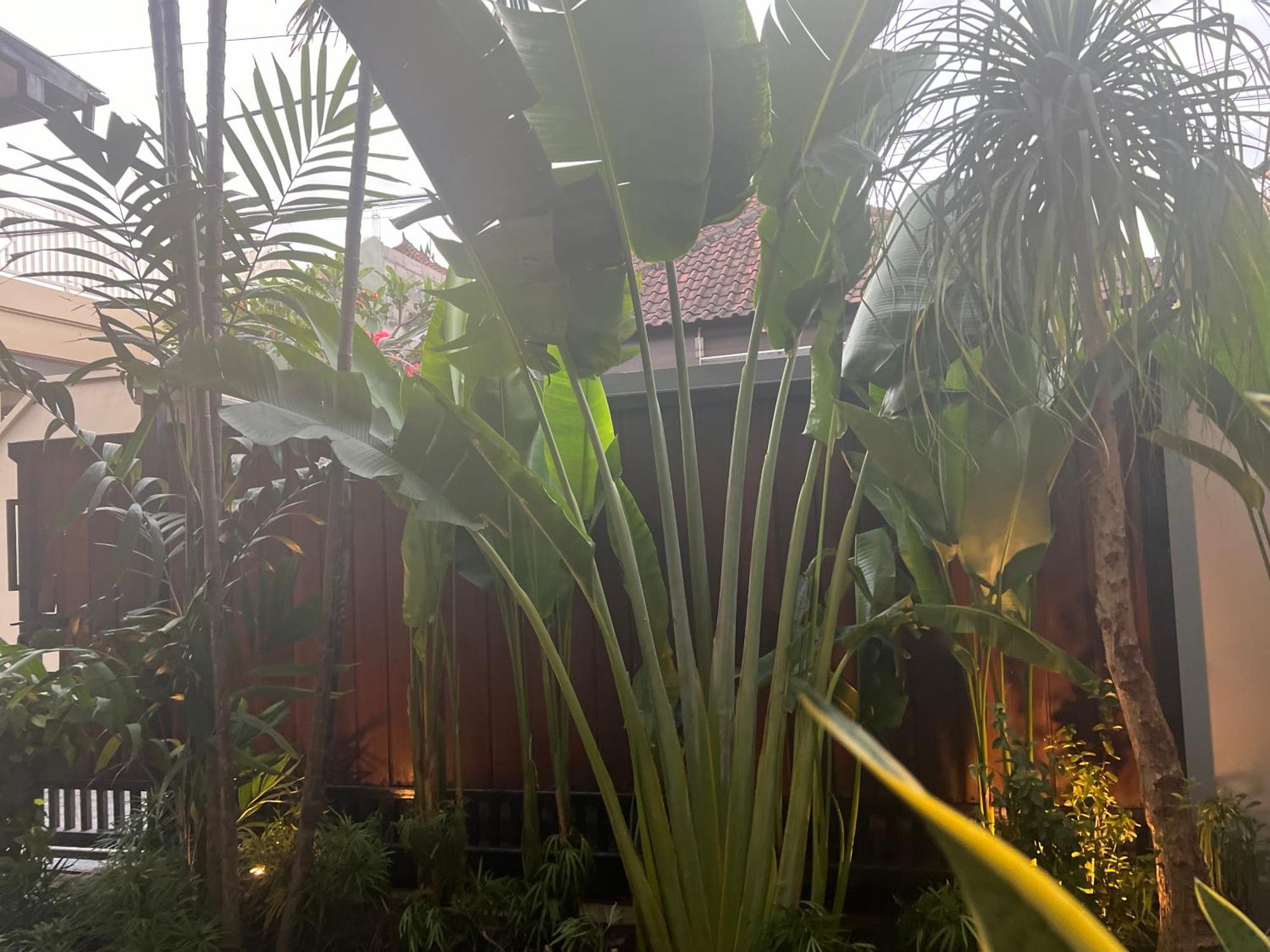 Villa Makmur Kerobokan Dış mekan fotoğraf